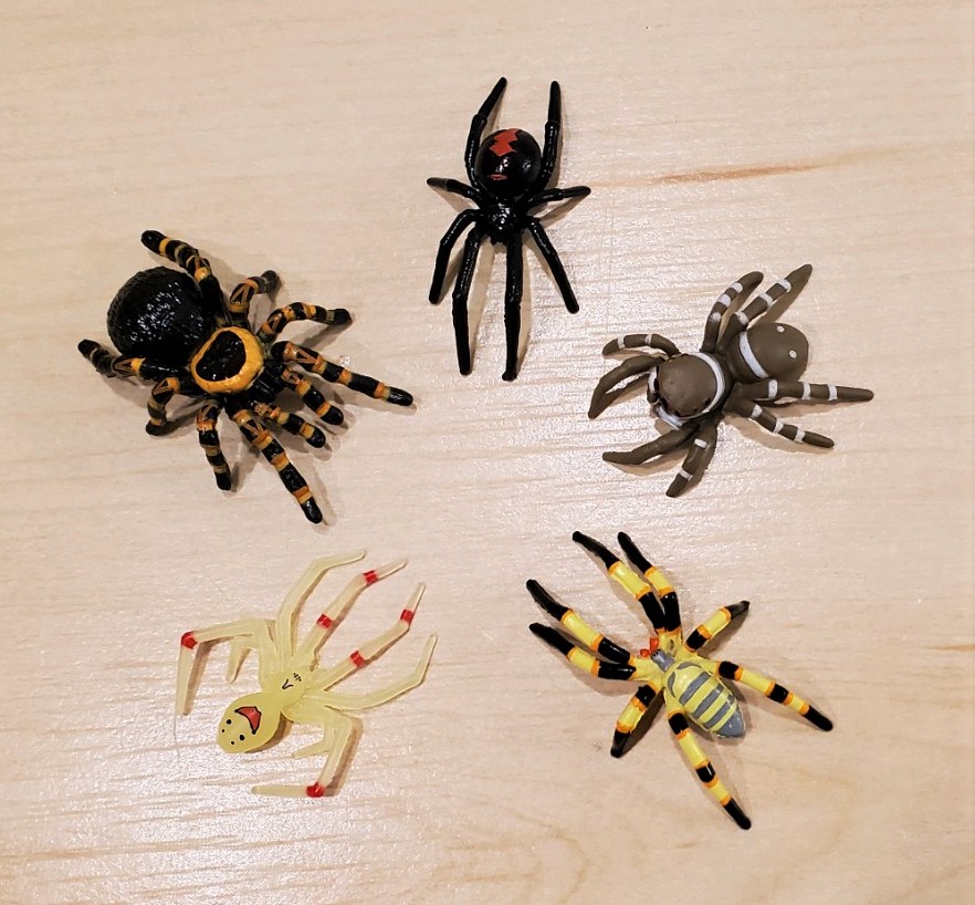 You are currently viewing 3D Image E-book Spiders of the World (Toys Spirits)