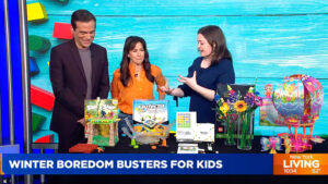 Read more about the article Toys to Beat the Mid-winter Blues on PIX 11