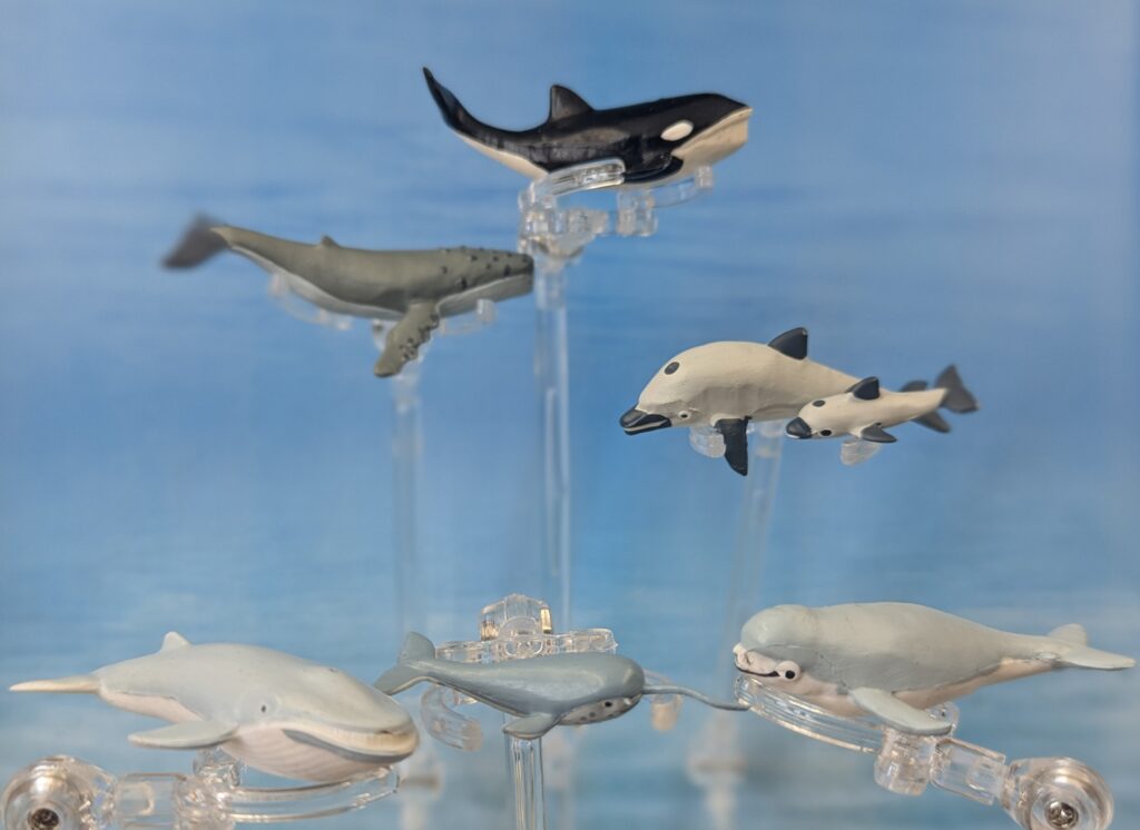 You are currently viewing Whales and Dolphins (Marine Animals by Panini), Half 1