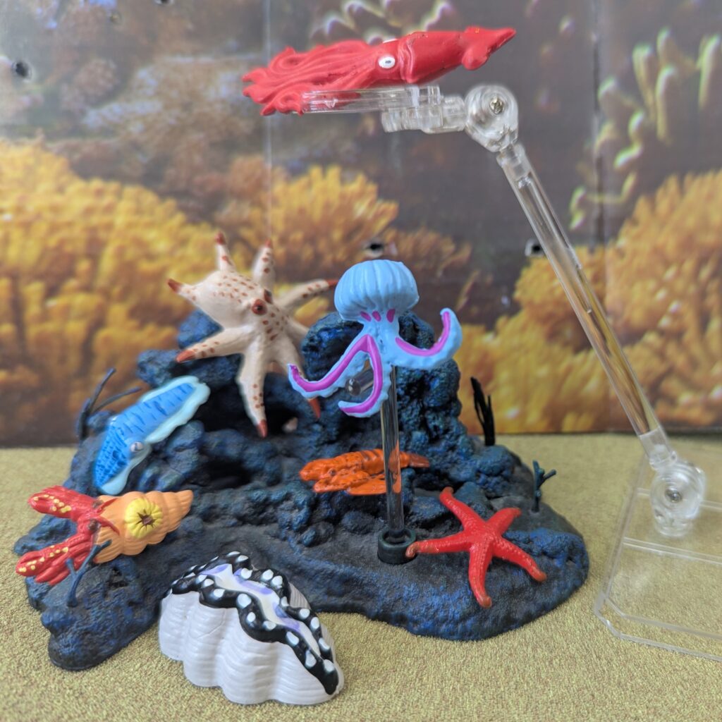 You are currently viewing Invertebrates (Marine Animals by Panini), Half 3