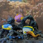 Bony fishes 2 (Marine Animals by Panini), Half 5