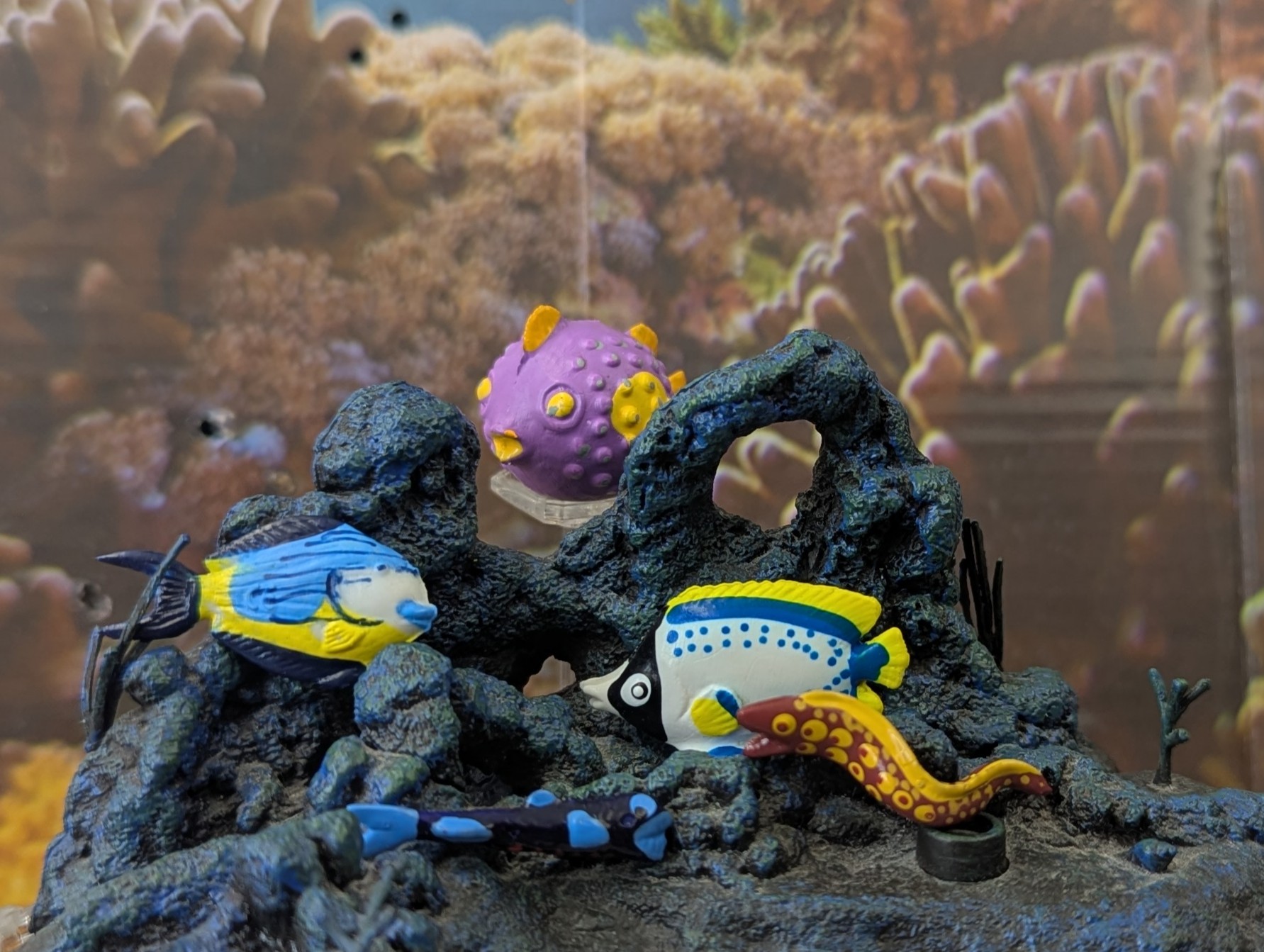 You are currently viewing Bony fishes 2 (Marine Animals by Panini), Half 5