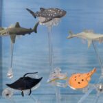 Lamprey, Sharks and Rays (Marine Animals by Panini), Half 6