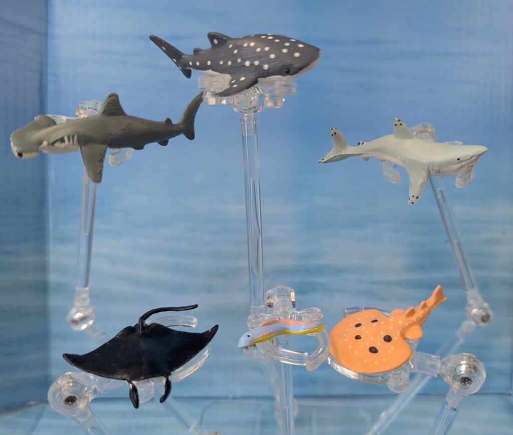 You are currently viewing Lamprey, Sharks and Rays (Marine Animals by Panini), Half 6