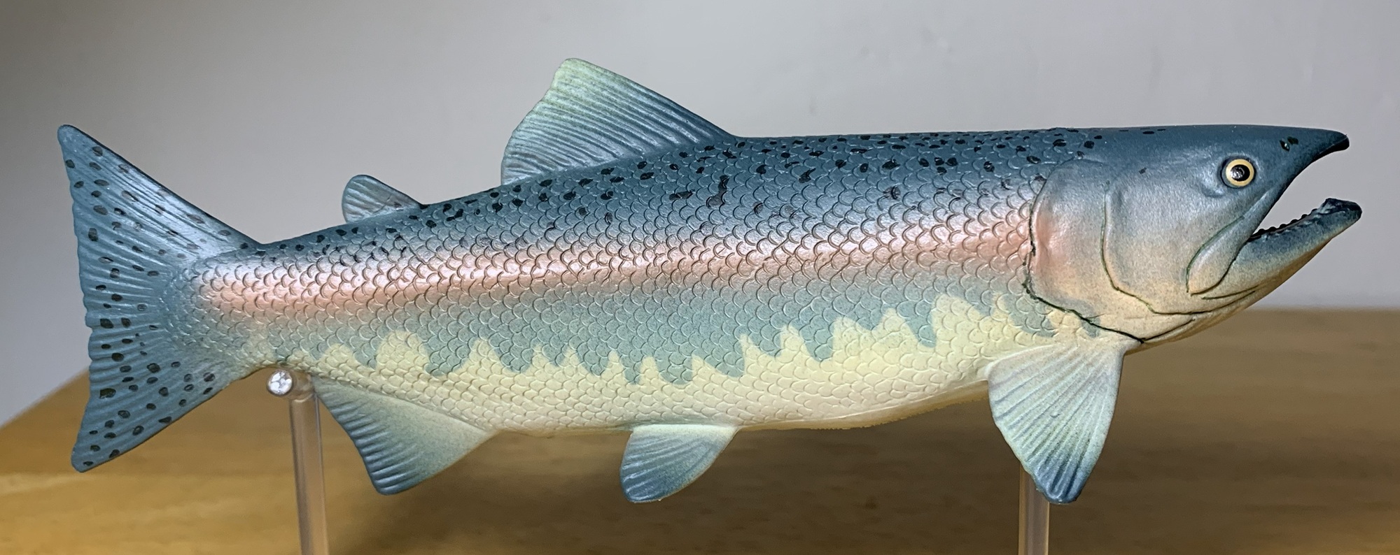 You are currently viewing Salmon (Unbelievable Creatures by Safari Ltd.)