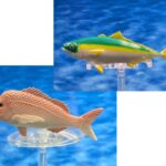 Coastal Fish Half 1: Yellowtail Amberjack and Silver Seabream (Mini Fish)