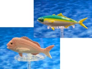 Read more about the article Coastal Fish Half 1: Yellowtail Amberjack and Silver Seabream (Mini Fish)