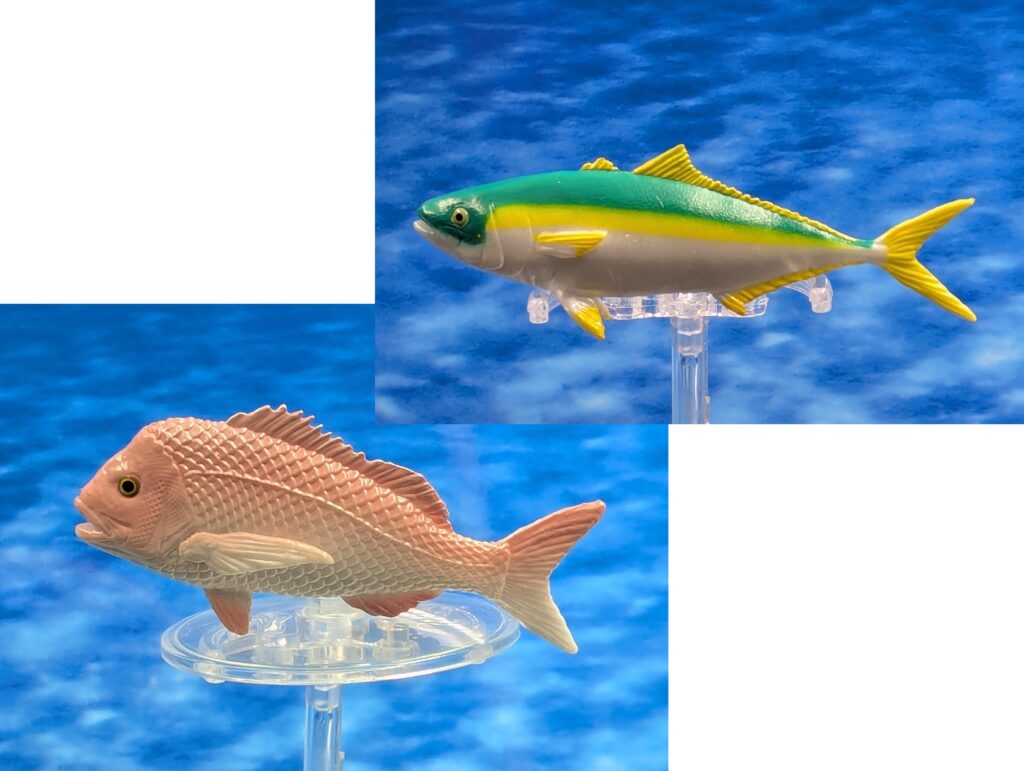 You are currently viewing Coastal Fish Half 1: Yellowtail Amberjack and Silver Seabream (Mini Fish)