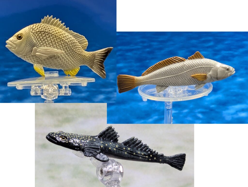 You are currently viewing Coastal Fish Half 2: Yellowfin Bream, Mulloway, Dusky Flathead (Mini Fish)