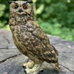 Nice Horned Owl (Wild Animals by Papo)
