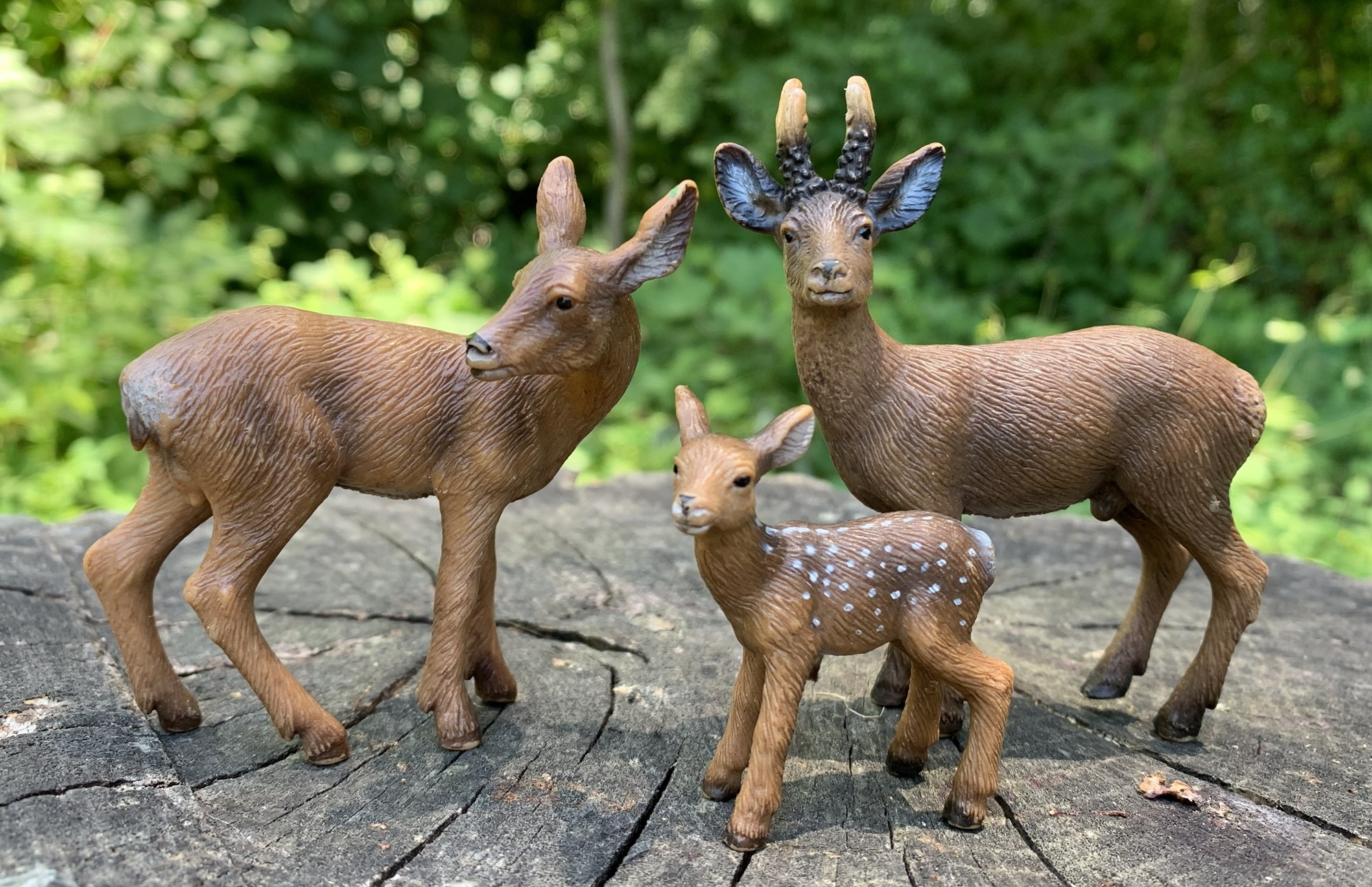 You are currently viewing Roe Deer (2008 Buck, Doe, & Fawn) (Wild Life Europe by Schleich)
