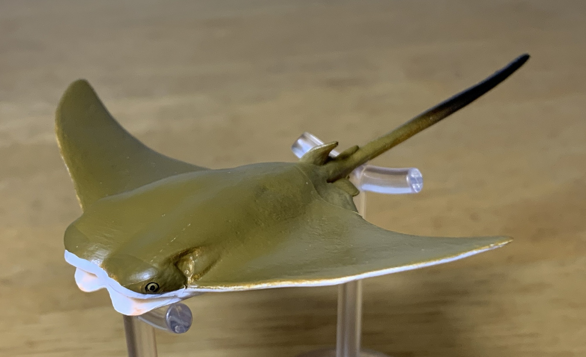 You are currently viewing Cownose Ray (Small Sea Animals Playset by Toymany)