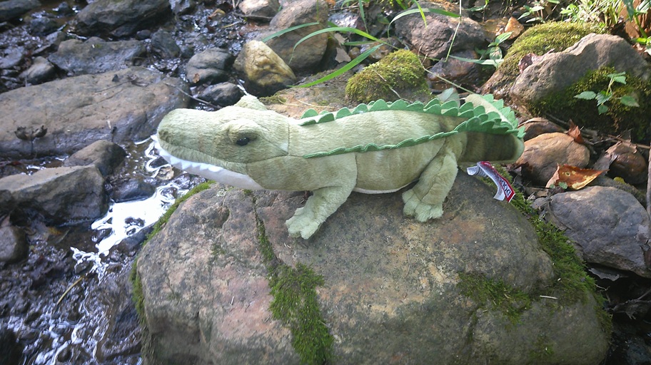 You are currently viewing Alligator, 15″ Streamline (Douglas Cuddle Toys)