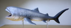 Read more about the article Megamouth Shark (Sea Life by CollectA)