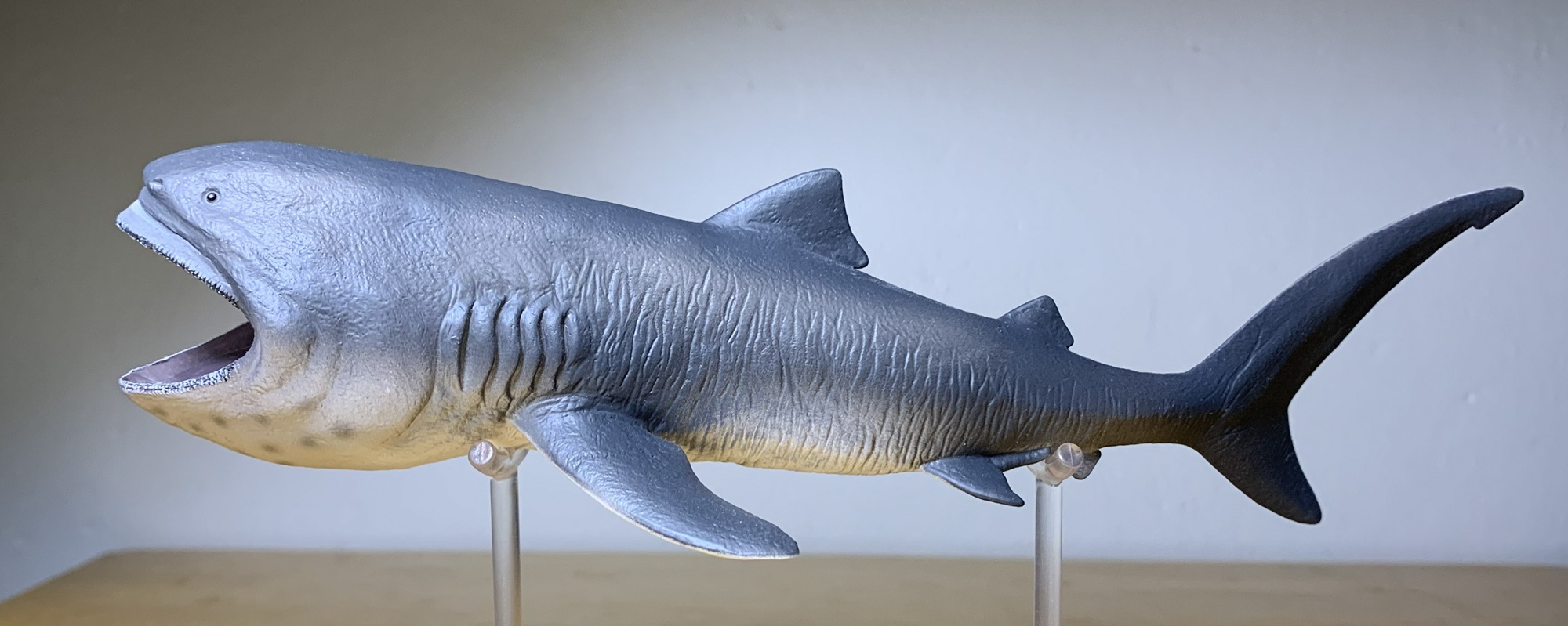 You are currently viewing Megamouth Shark (Sea Life by CollectA)