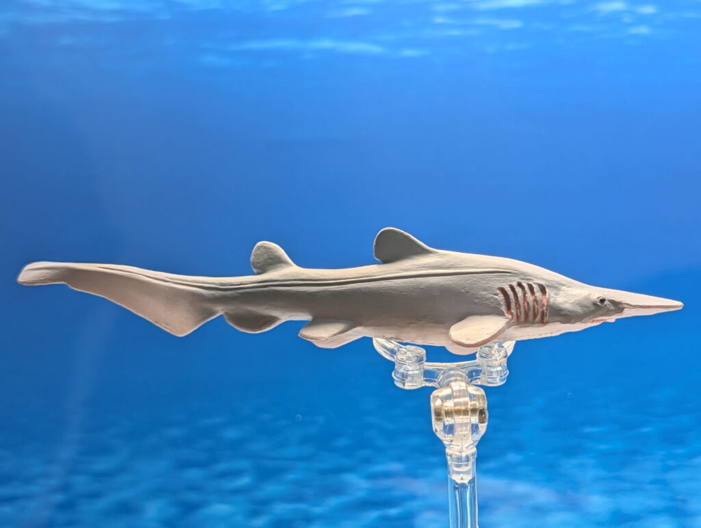 You are currently viewing Goblin Shark (Wild Safari Sealife by Safari Ltd)