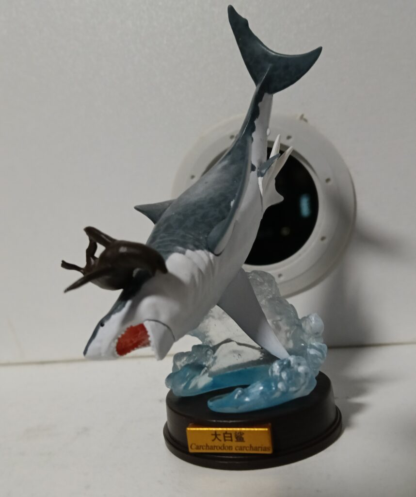 You are currently viewing Nice White Shark (Melody of Life by Animal Heavenly Physique)