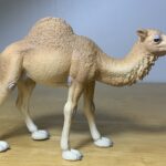 Dromedary Camel, 2020 (Wild Life Africa by Schleich)
