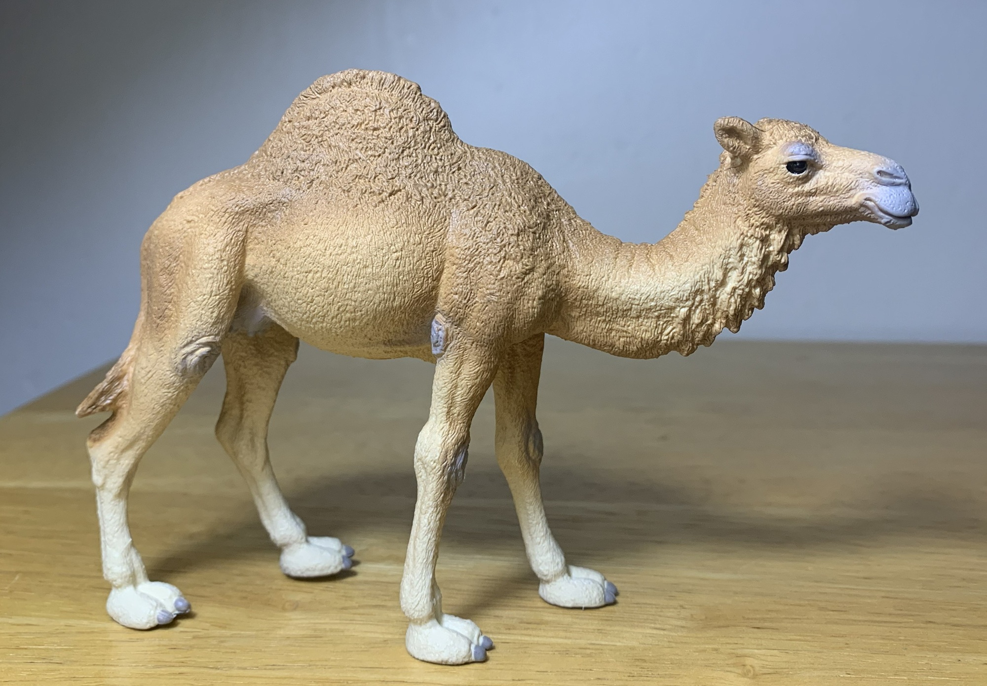 You are currently viewing Dromedary Camel, 2020 (Wild Life Africa by Schleich)