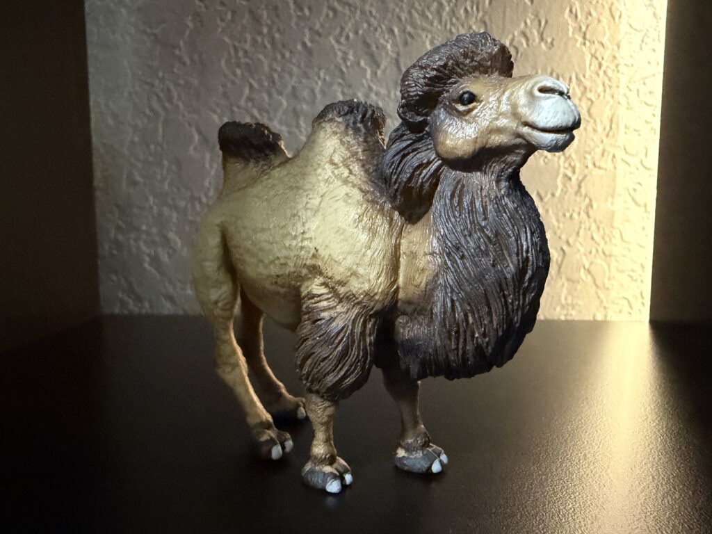 You are currently viewing Bactrian Camel, 2008 (Wild Safari Wildlife by Safari Ltd.)