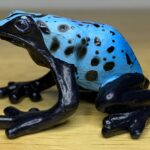 Blue Poison Dart Frog (Baltimore Aquarium Poison Dart Frogs/Frogs of the Rainforest by Safari Ltd.)