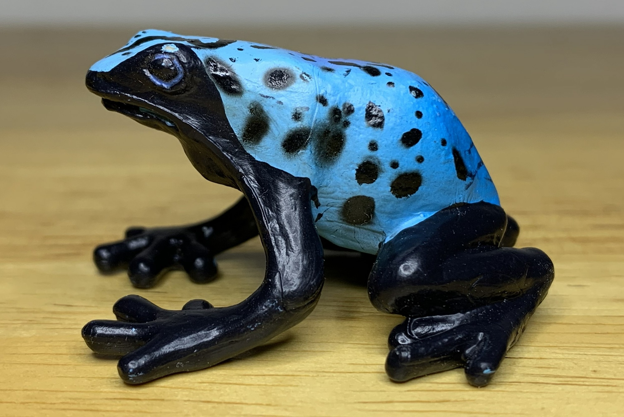 You are currently viewing Blue Poison Dart Frog (Baltimore Aquarium Poison Dart Frogs/Frogs of the Rainforest by Safari Ltd.)