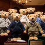How Teddy Bears Grew to become the Final Luxurious Standing Image