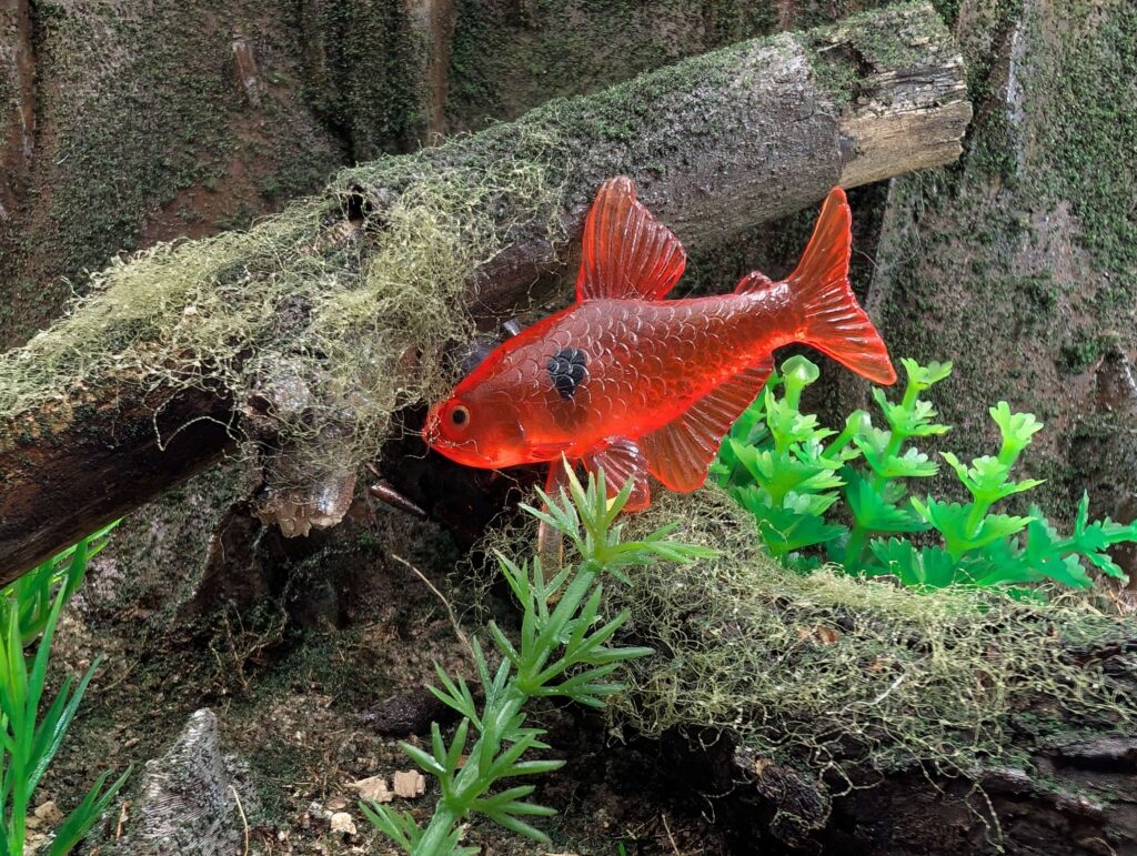 You are currently viewing Purple Phantom Tetra (World of Tropical Fish by Marmit)