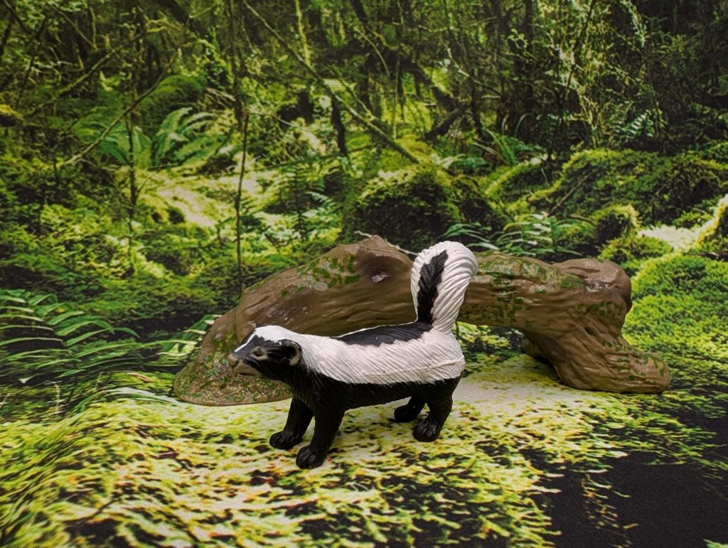 You are currently viewing Striped skunk (Weasels and Skunks by Play Visions)