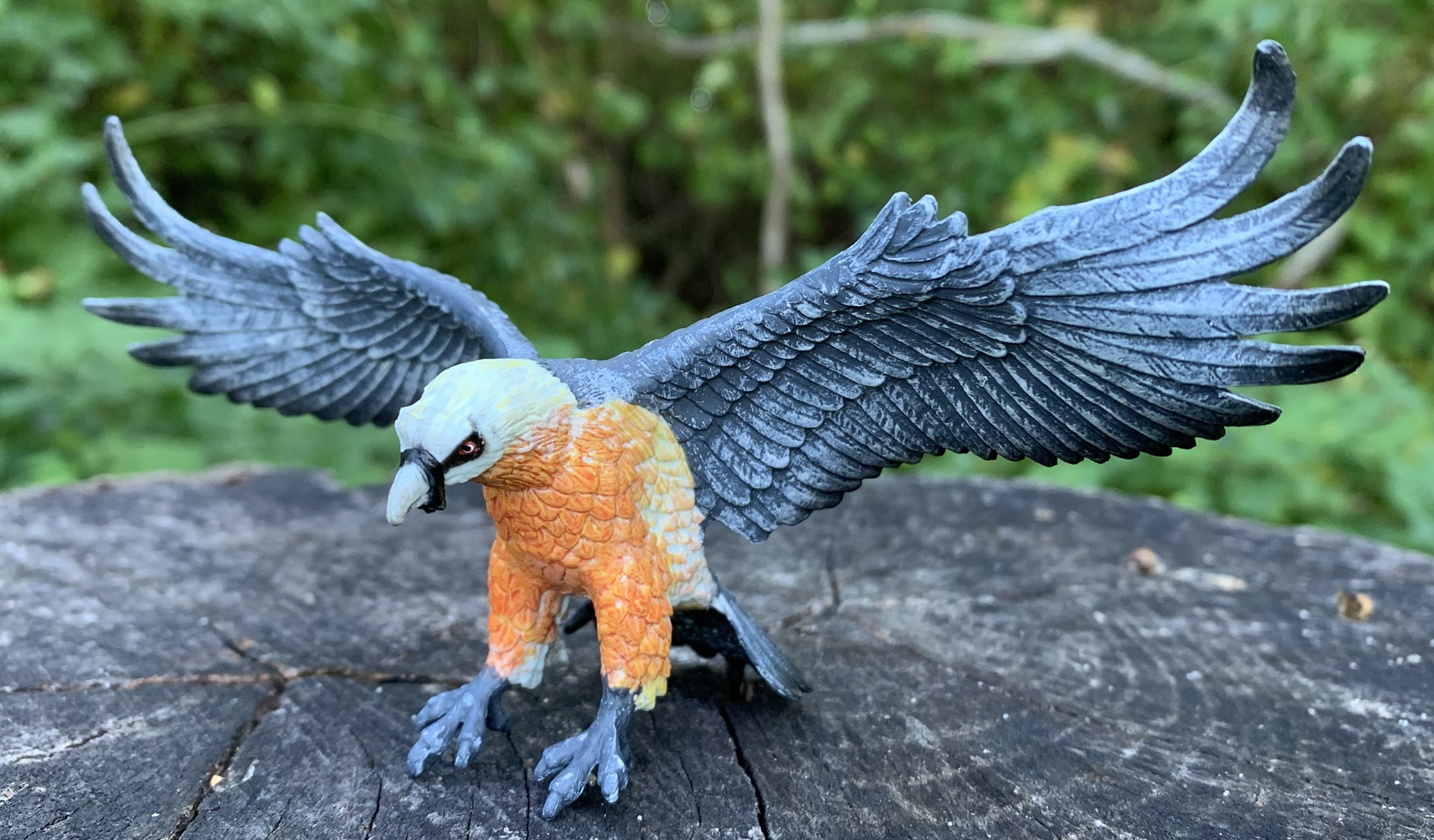 You are currently viewing Bearded Vulture (Wings of the World by Safari Ltd.)