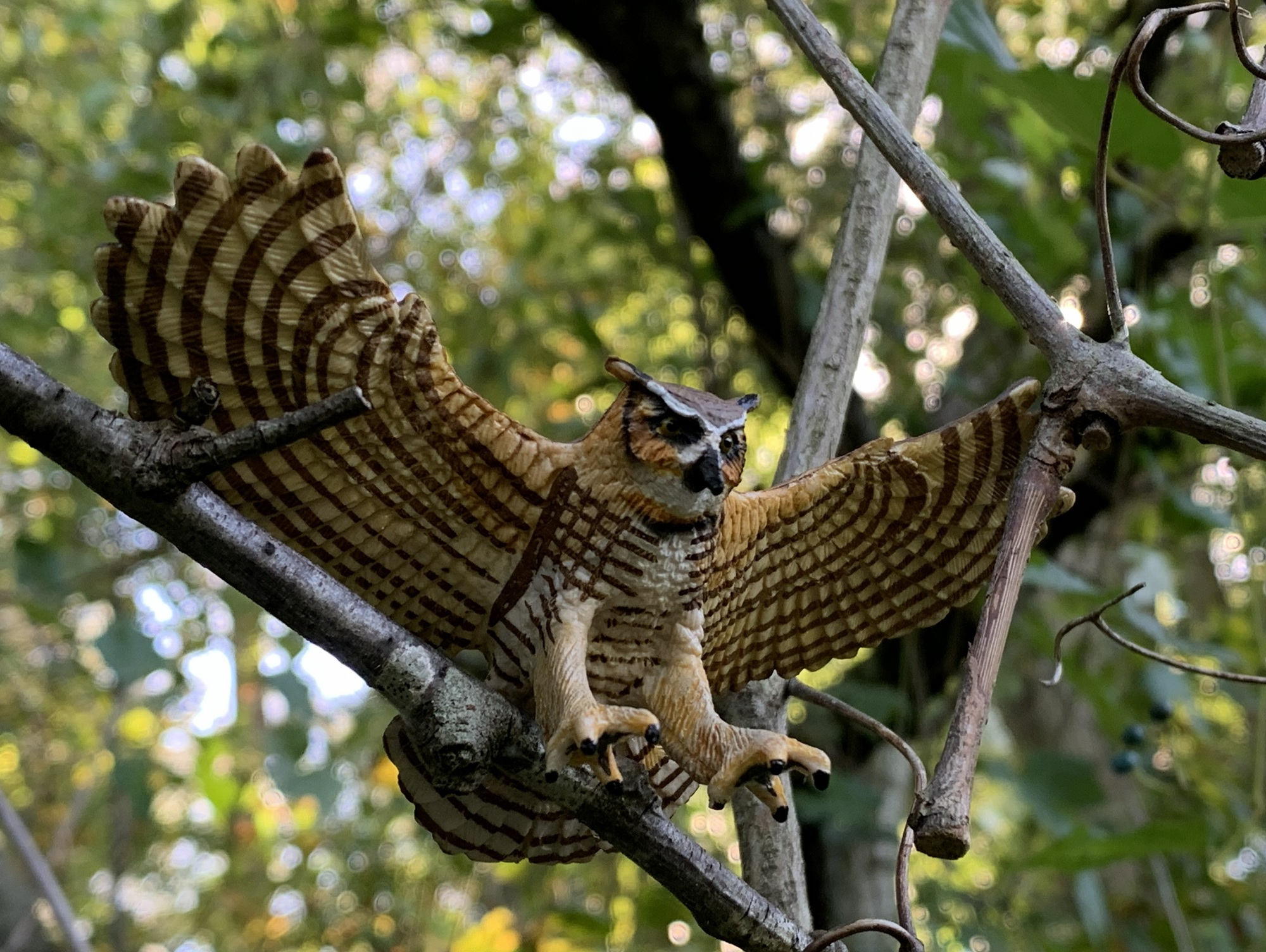 You are currently viewing Nice Horned Owl (Wings of the World by Safari Ltd.)