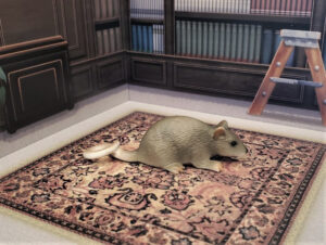 Read more about the article Rat (Schleich Pets by Schleich)
